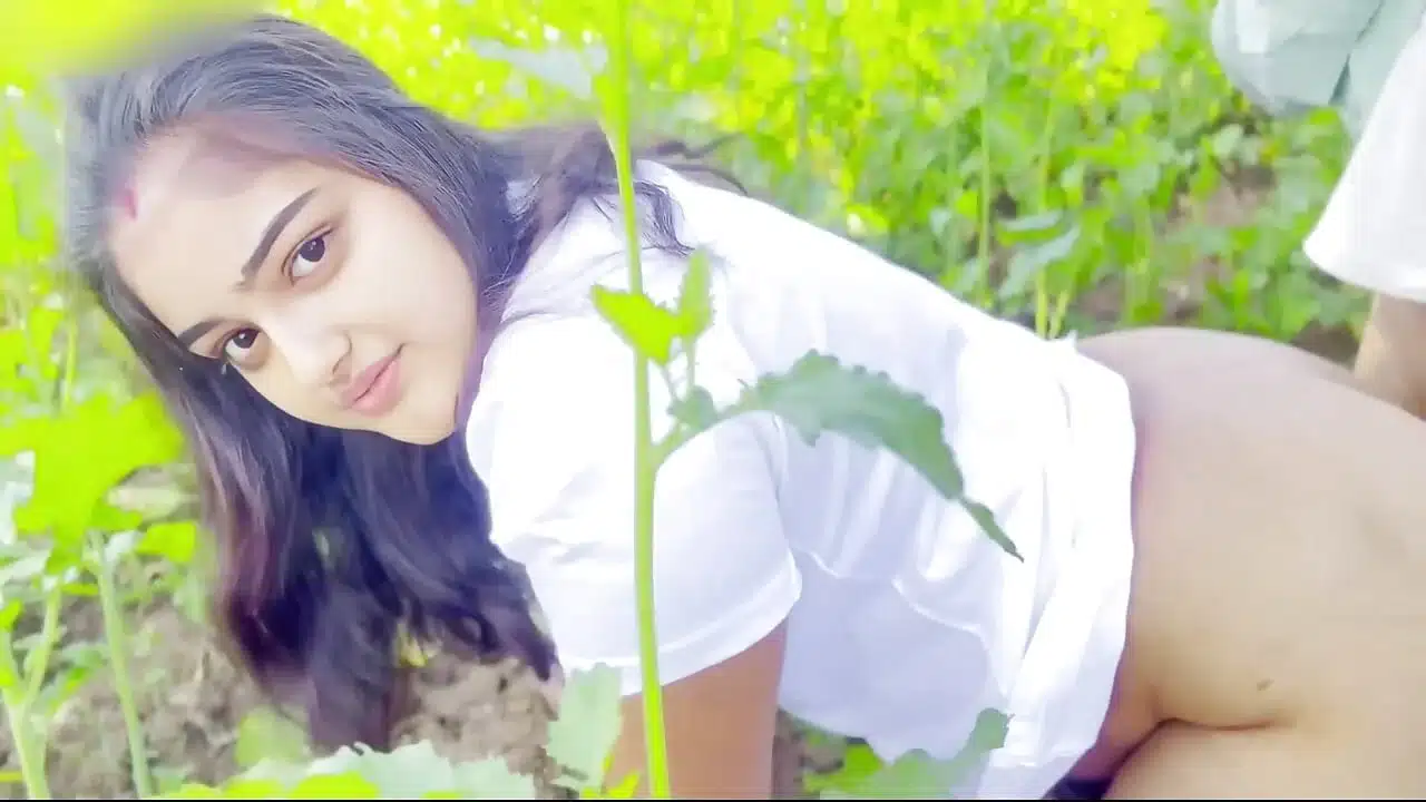 Desi beautiful Village sali sex in jungle With her jija, Hot sali fuck first time in jungle xxx Viral video