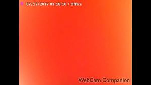 Peitos Da Minha Esposa