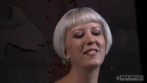 xv-07686df4bd2ff169231035c1c7dee140