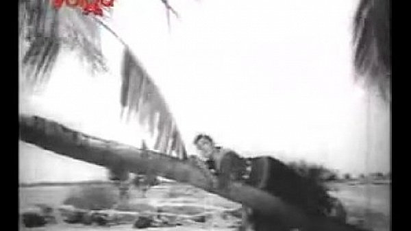 ANR