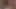 Auf xhamster bullwhipping