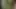 Bhabe love Debor Dick to Blowjob xxx
