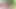 CHRISTMAS GIFT FOR XHAMSTER FANS – PETITEHORNY