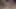 new year 2026 ko desi bhabhi ki gand maari blowjob & cumshot in mouth kiya xxx video