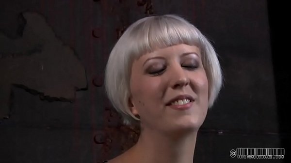 xv-07686df4bd2ff169231035c1c7dee140