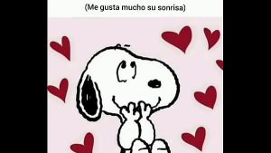 Xvideos