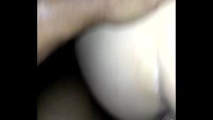 XVIDEOS