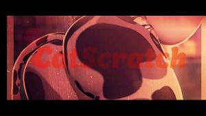 xvideos
