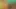 BBW XXX –  Sunflower Fatty Striptease For Your Pleasure