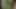 Bhabe love Debor Dick to Blowjob xxx