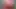 Desi GF BF unmarried Sex in OYO leaked MMS Xxx, Desi Village GF tight pussy fuck