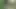 Desi Indian College girl have sex with step brother Xxx , Desi Village Doggy style rough hardcore College girl tight pussy sex