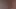 Hazelnutxxx on xhamster