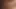 Rebecca Lord – Scotty’s X-rated Adventure