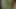 Bhabe love Debor Dick to Blowjob xxx