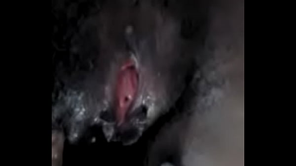 Xvideos