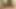 Asian Tattooed MILF Double Penetration and Squirting