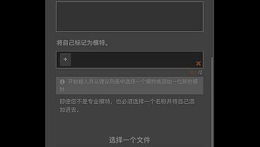 验证视频