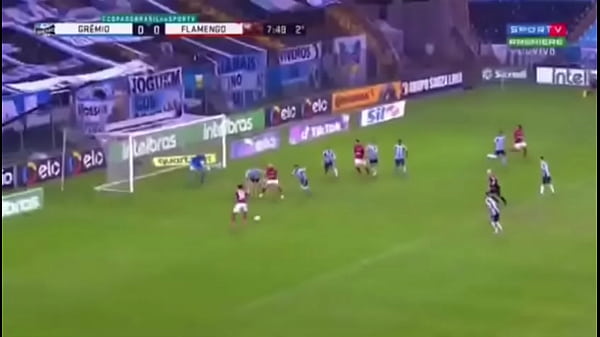 gremio x flamengo
