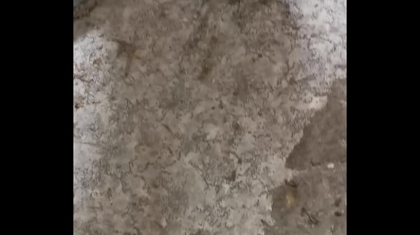 Hitelesítő videó