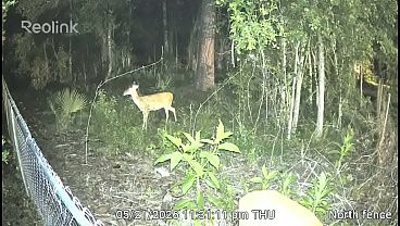 Verification video