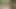 I find a rich busty woman showering alone in the river and I take the opportunity to put my delicious cock in her tight and rich ass.
