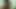 PNG xxx 40