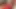 New marriage beautiful young couple desi village hot sex movies in hindi voice – desi xxx bhabhi sex video.